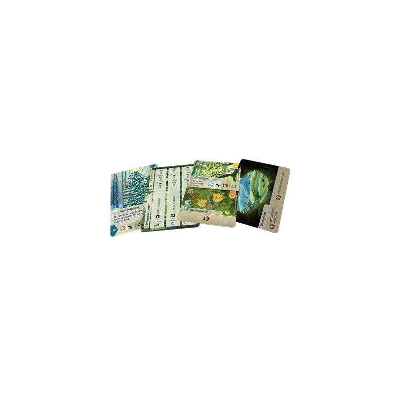 FOREST SHUFFLE: EXPLORACION