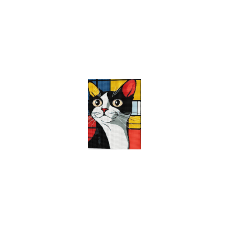 KIT DIAMOND PAINTING CON BASTIDOR MISTERIO FELINO 30X40