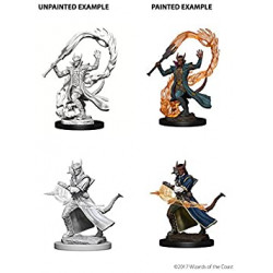MINIATURAS D&D PREMIUM: TIEFLING MALE SORCERER