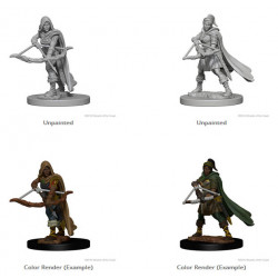 MINIATURAS D&D: HUMAN FEMALE DRUID